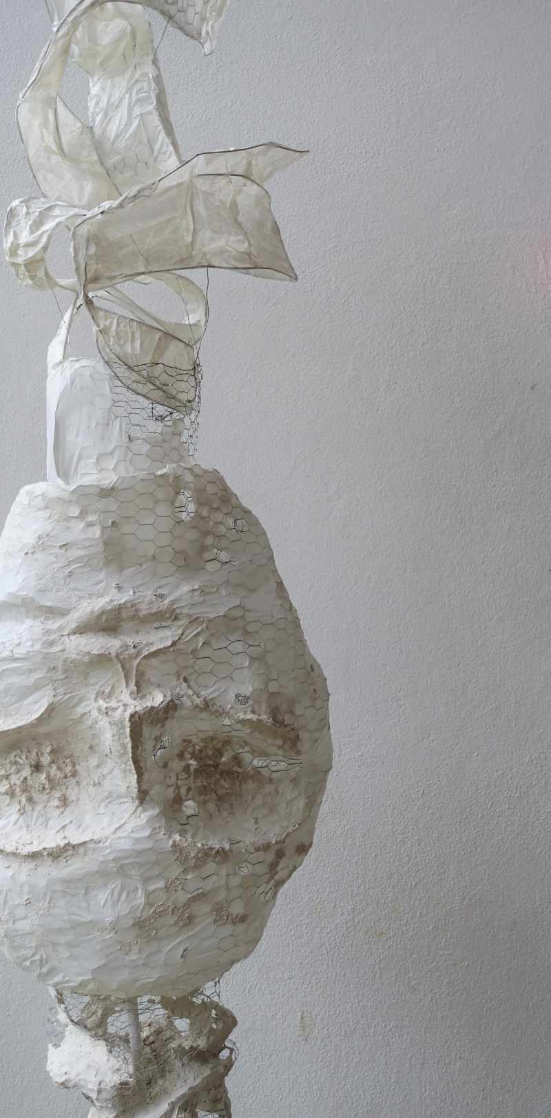 katharina schulze