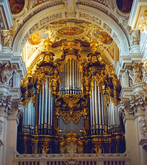 domorgel